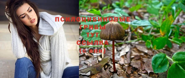 винт Новокубанск