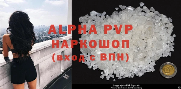 стаф Дмитров