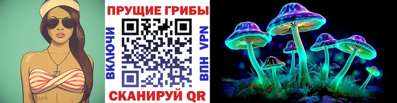 Псилоцибиновые грибы прущие грибы  Сольвычегодск 